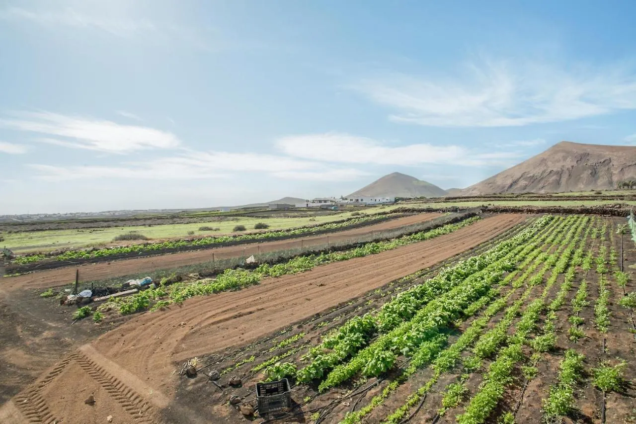 Gospodarstwo wiejskie Hotel-Finca Rural Jose Manuel 28Pax San Bartolomé Hiszpania